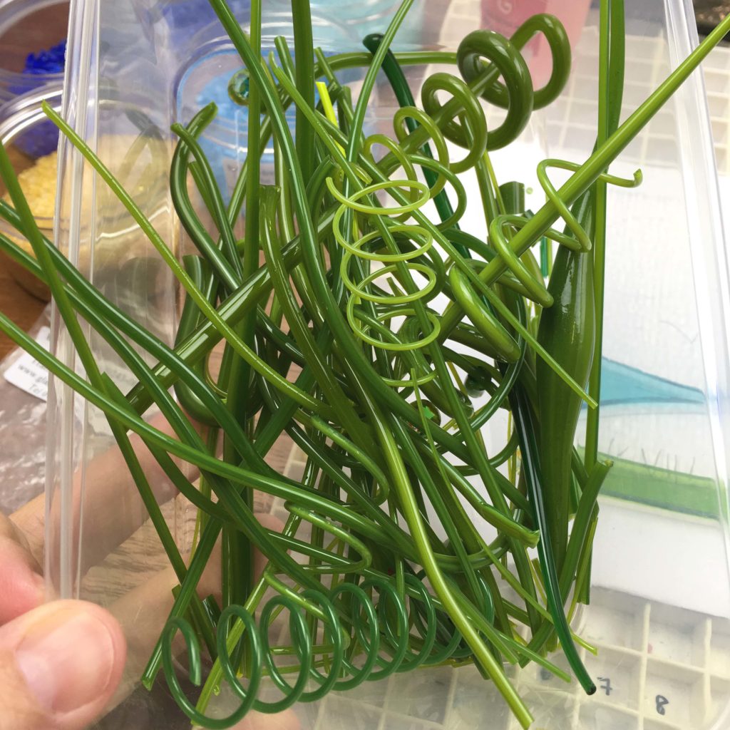 Green vitrograph stringers